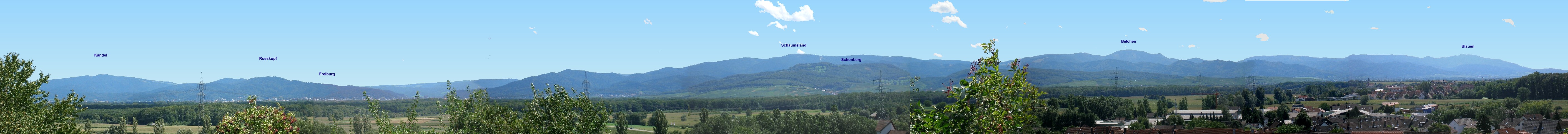 Schwarzwald-Panorama